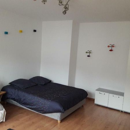 Mathilde'S Studio Lejlighed Strasbourg Eksteriør billede